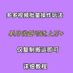 （10029期）拼多多视频带货快速过爆款选品教程 每天轻轻松松赚取三位数佣金 小白必…