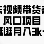 （10025期）京东短视频带货来了，风口项目，逛逛月入3k+