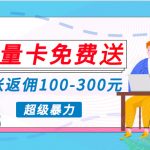 （10002期）蓝海暴力赛道，0投入高收益，开启流量变现新纪元，月入万元不是梦！