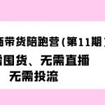 （9996期）小红书电商带货陪跑营（第11期）无需囤货、无需直播、无需投流（送往期10套）