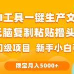 （9967期）利用AI工具无脑复制粘贴撸头条收益 每天2小时 稳定月入5000+互联网入门…