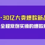 （9944期）亚马逊30亿·大卖爆款新品推广，可复制、全程案例实操的爆款推新SOP