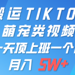 （9931期）一键搬运TIKTOK萌宠类视频 一部手机即可操作 所有平台均可发布 轻松月入5W+