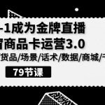 （9927期）0-1成为金牌直播-橱窗商品卡运营3.0，基础/货品/场景/话术/数据/商城/千川