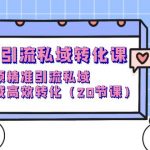 （9926期）短视频引流 私域转化课，短视频精准引流私域，在私域高效转化（20节课）