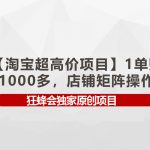 （9849期）【淘宝超高价项目】1单赚1000多，店铺矩阵操作