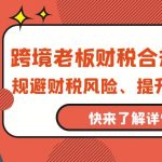 （9838期）跨境老板-财税合规训练营，规避财税风险、提升企业利润