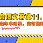 （9802期）抖音图文带货11.0，快速出单拿结果，高效做账号（基础课+精英课=92节）