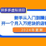 （9744期）拼多多虚拟项目：入门到精通，开一个月入万把块的店铺 真不难（24年更新）