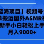 （9743期）【2024蓝海项目】视频号分成计划，无脑搬运国外ASMR视频，新手小白轻松…