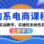 （9704期）淘系电商课程，0基础实战教学，实操性系统性实时性（15节课）