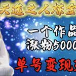 （9693期）天选之人炼金项目，一个作品涨粉5000+，单号变现3.6w