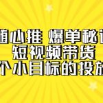 （9687期）随心推 爆单秘诀，短视频带货-超1个小目标的投放心得（7节视频课）