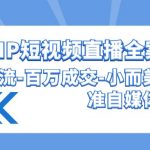 （9591期）高品质 IP短视频直播-全案课程，有效爆流-百万成交-小而美的精准自媒体赛道