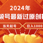 （9565期）2024年视频号最新过原创技术，当天起号，收入稳定，日入1000+