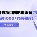 （9541期）黄岛主《淘宝蓝海虚拟项目陪跑训练营7期》每天200到1000+的纯利润