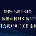 （9513期）野路子流量掘金，引流创业粉日引流200+，两个月变现15W（工作室玩法））