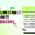 （9505期）0基础知识付费玩法 小白也能日入500+ 实操教程