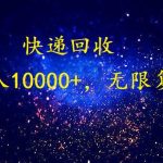 （9464期）完美落地，暴利快递回收项目。每天收入10000+，可无限放大