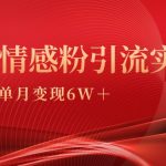 （9473期）单月变现6w+，情感粉引流变现实操课