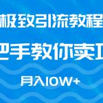 （9265期）极致引流教程，手把手教你卖项目，月入10W+