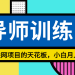 （9145期）《导师训练营》精准粉丝引流的天花板，小白月入2w