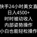 （9135期）靠快手美女24小时直播，日入4500+，时时被动收入，内部姿势操作，小白也…