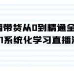 （9105期）直播带货从0到精通全流程，0-1系统化学习直播流程（35节课）