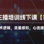 （10161期）2024主播培训线下课【第5期】主播话术逻辑，流量感知，心流建设提升等等