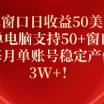 （10144期）单窗口日收益50美刀，单电脑支持50+窗口，每月单账号稳定产值3W+！