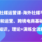 海外社媒运营课-海外社媒平台操作和运营、跨境电商基础实操知识，理论+演练全流程