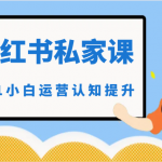 小红薯（小红书）私家课-0-1小白运营认知提升