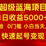 2024超级蓝海项目 单日收益5000+ 不露脸小游戏直播，小白当天上手，快手起号变现
