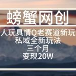大人玩具情Q用品赛道私域全新玩法，三个月变现20W，老项目新思路