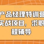 AIGC产品经理特训营，个性化实战项目，求职全流程辅导