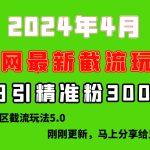 （10179期）刚刚研究的最新评论区截留玩法，日引流突破300+，颠覆以往垃圾玩法，比…