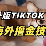 抖音海外版tiktok撸金技术，这个风口行业，赚钱真的不难