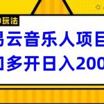 网易云挂机项目延伸玩法，电脑操作长期稳定，小白易上手