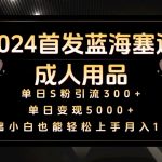 2024首发蓝海塞道成人用品，月入10W+保姆教程