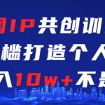 互联网IP共创训练课，零门槛零基础打造个人IP，月入10w+不是梦