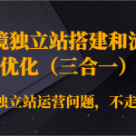 跨境独立站搭建和流量优化（三合一）解决独立站运营问题，不走弯路！