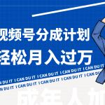 小白逆袭视频号分成计划红利期简创业让你轻松月入过万！