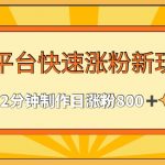 多平台快速涨粉最新玩法，2分钟制作，日涨粉800+