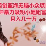 首创蓝海无脑小众项目，2分钟暴力吸粉小姐姐富太太，月入几十万