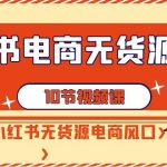 小红书电商无货源打卡，抢先占领小红书无货源电商风口（10节课）