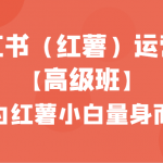 小红书（红薯）运营课【高级班】，专为红薯小白量身而定（42节课）