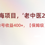 蓝海项目，“小红书老中医2.0”，单号收益400+，保姆级教程