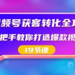 视频号获客转化全攻略，手把手教你打造爆款视频号（19节课）