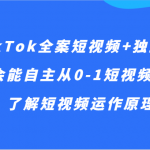 TikTok全案短视频+独立站，学会能自主从0-1短视频起号、了解短视频运作原理等