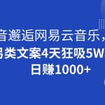抖音邂逅网易云音乐，另类文案4天狂吸5W粉，日赚1000+